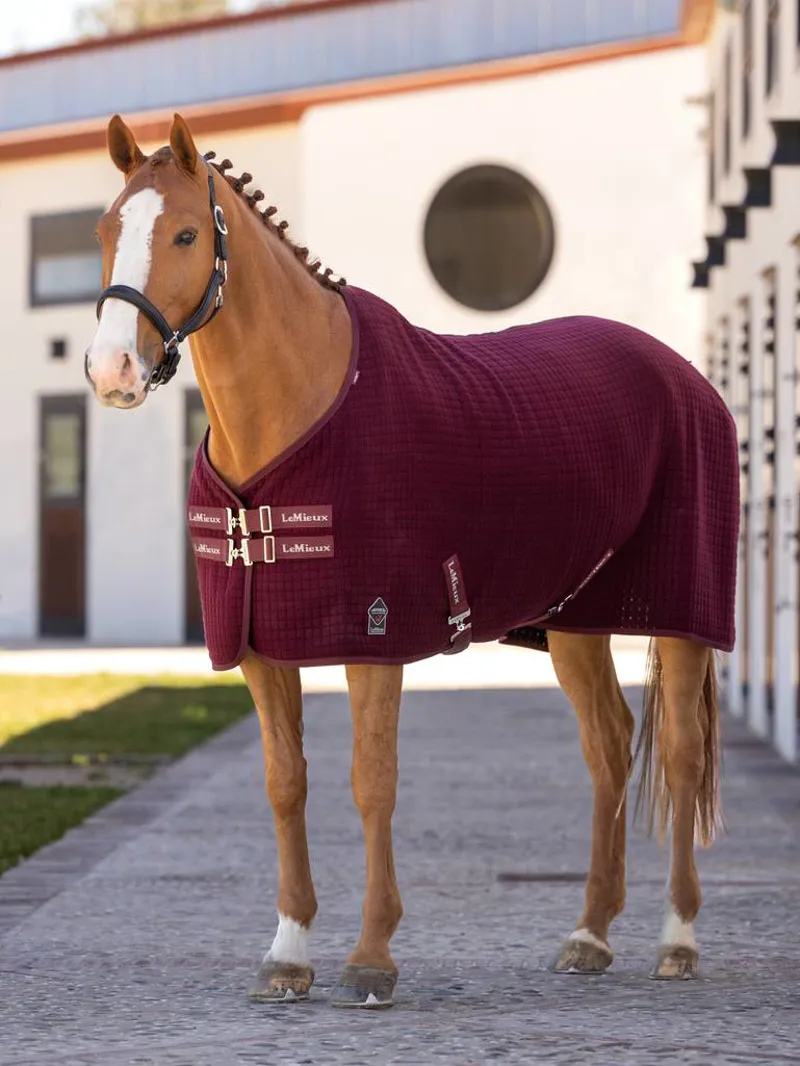 LeMieux Arika Clima-Tek Rug in Burgundy